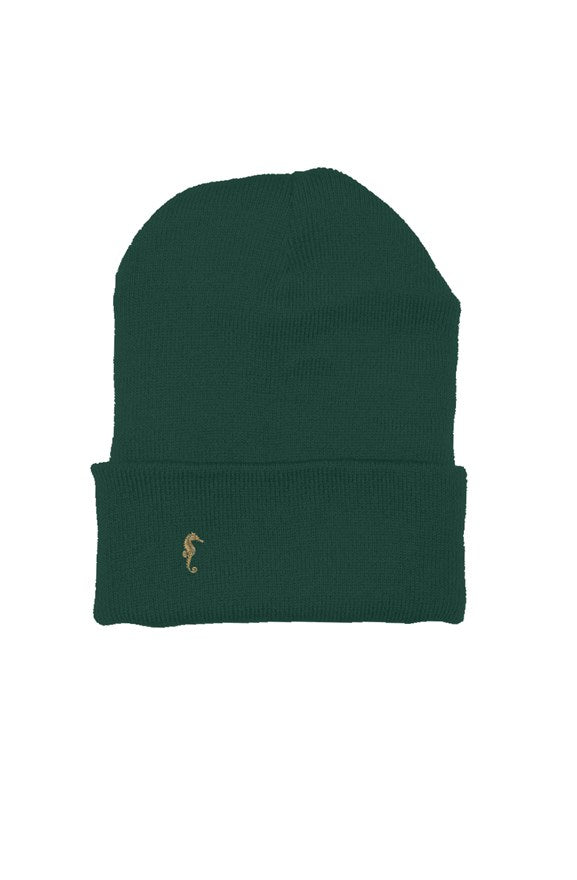 Seahorse green beanie